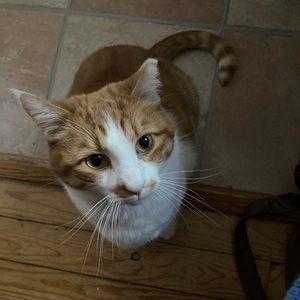 Meet your Posher, Bonnie